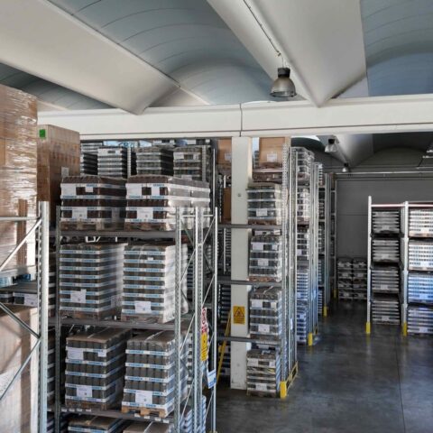 Magazzino Zordan Logistica con scaffalature e pallet organizzati per lo stoccaggio merci.